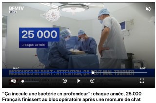 EXTRAIT REPORTAGE