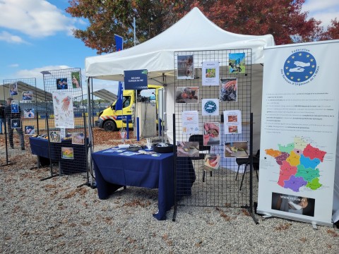 stand clinique du pré