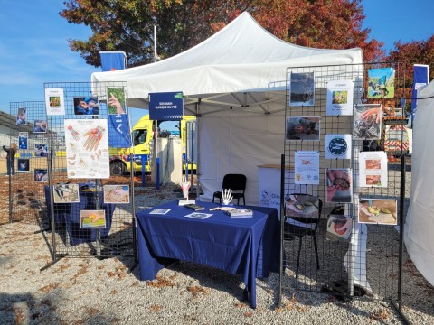stand 2